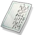 <i>A Letter of Unknown Origin</i> Currency Icon