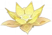 Abundance Lotus Icon