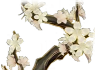 Zweig mit glorreichen Blüten Icon